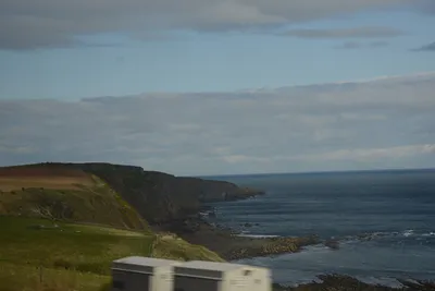 DSC_7269 (Large).JPG